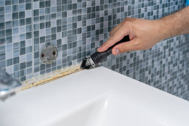 Reliable Brillion, WI Mold Remediation Solutions